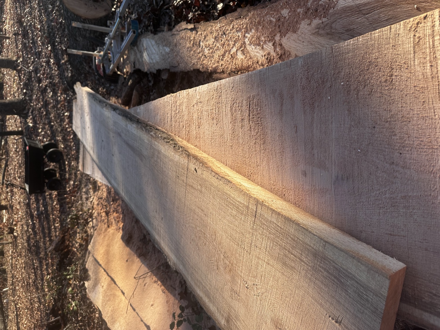 Fresh slab in evening light